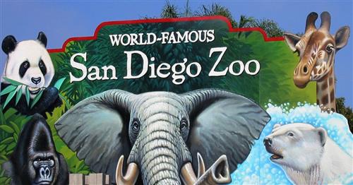 Visit the San Diego Zoo TODAY! 